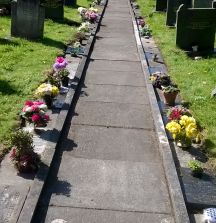 churchyard spruce up