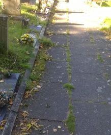 churchyard spruce up